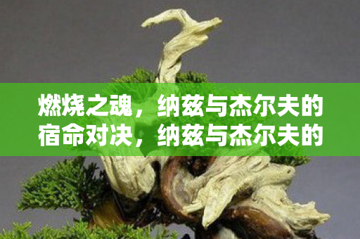 纳兹与杰尔夫的宿命对决图片