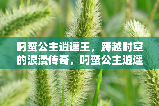 跨越时空的浪漫传奇图片
