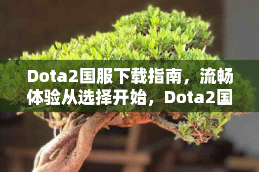 Dota2国服下载全攻略图片