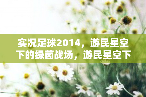游民星空下的绿茵战场图片