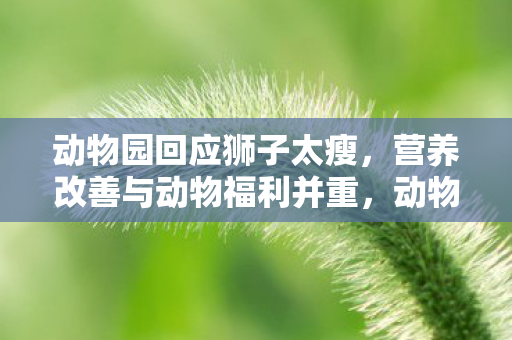 营养改善与动物福利并重图片