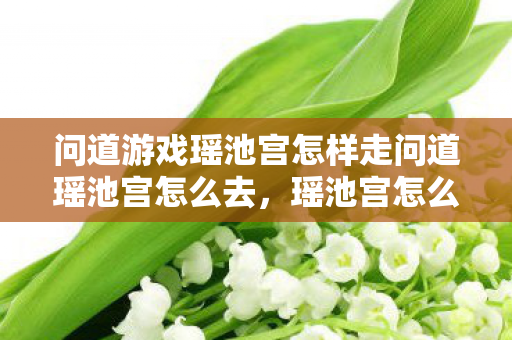 问道游戏瑶池宫怎样走问道瑶池宫怎么去,瑶池宫怎么走?问道瑶池宫攻略 问道游戏瑶池宫怎样走问道瑶池宫怎么去,瑶池宫怎么走?问道瑶池宫攻略