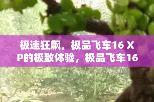 极品飞车16 XP的极致体验图片