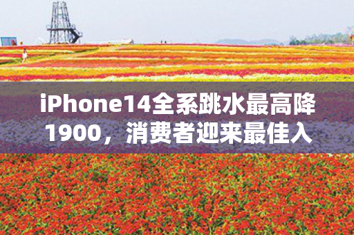 iPhone14全系跳水最高降1900图片