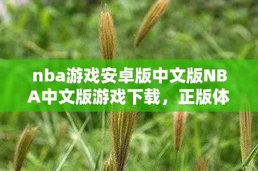 nba游戏安卓版中文版NBA中文版游戏下载图片