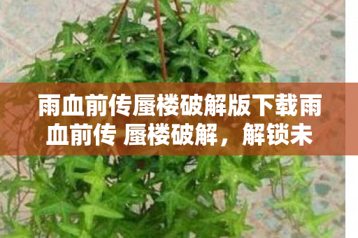 雨血前传蜃楼破解版下载雨血前传 蜃楼破解图片