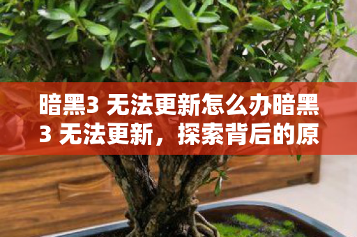 暗黑3 无法更新怎么办暗黑3 无法更新图片