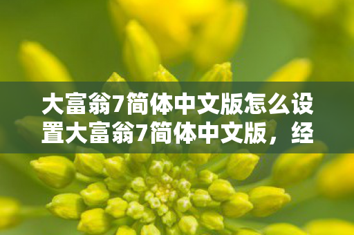 大富翁7简体中文版怎么设置大富翁7简体中文版图片