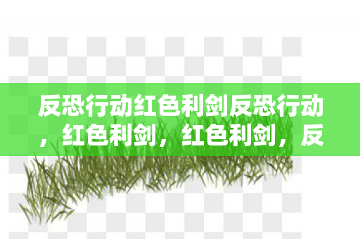 反恐行动红色利剑反恐行动图片