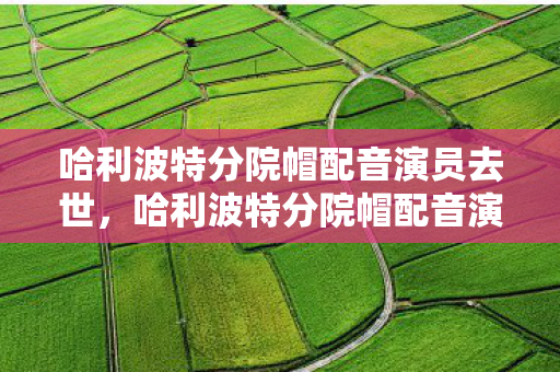 哈利波特分院帽配音演员去世图片