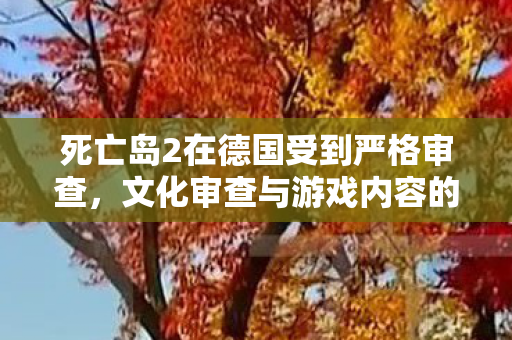 文化审查与游戏内容的边界何在图片