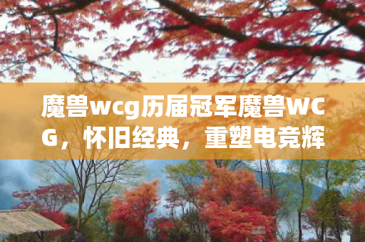 魔兽wcg历届冠军魔兽WCG图片