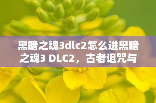 黑暗之魂3dlc2怎么进黑暗之魂3 DLC2图片