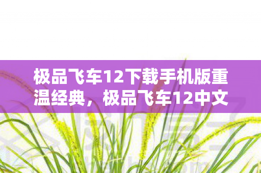极品飞车12下载手机版重温经典图片
