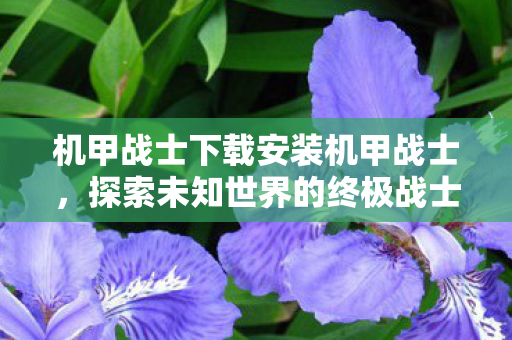 探索未知世界的终极战士下载指南图片