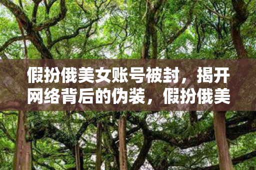 假扮俄美女账号被封图片