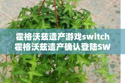 霍格沃兹遗产游戏switch霍格沃兹遗产确认登陆SWITCH图片