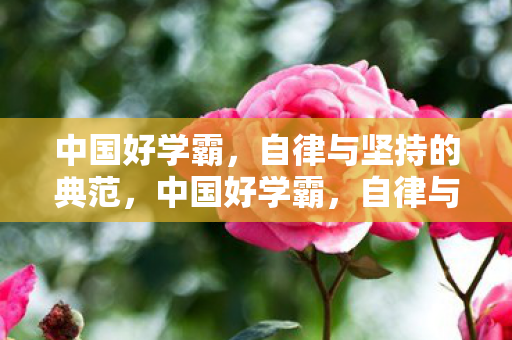 自律与坚持的典范图片