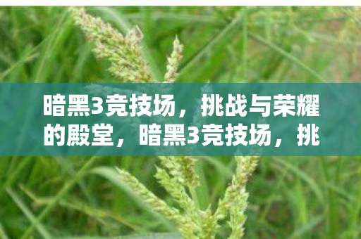 挑战与荣耀的殿堂图片