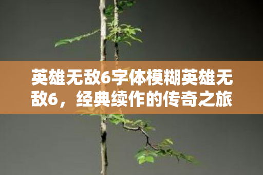 英雄无敌6字体模糊英雄无敌6图片