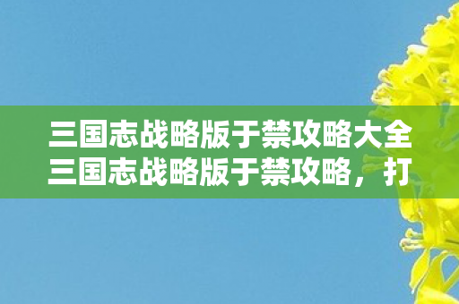三国志战略版于禁攻略大全三国志战略版于禁攻略图片