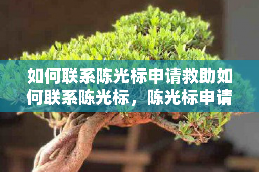 如何联系陈光标申请救助如何联系陈光标图片