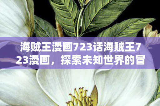 海贼王漫画723话海贼王723漫画图片