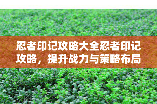 忍者印记战力提升与策略布局全攻略图片