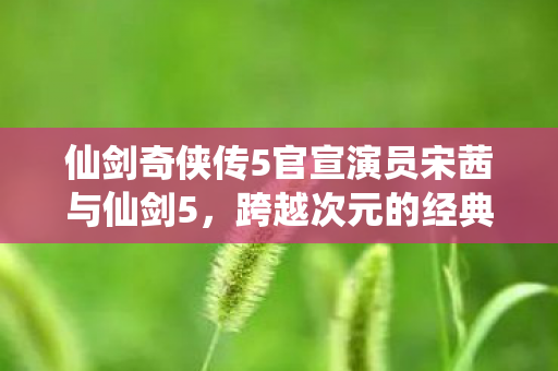 宋茜官宣仙剑奇侠传5 跨越次元的经典演绎图片