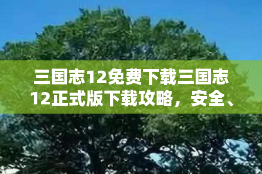 三国志12免费下载三国志12正式版下载攻略图片
