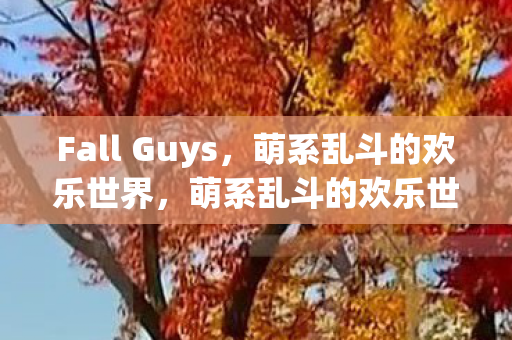 体验Fall Guys的独特魅力图片