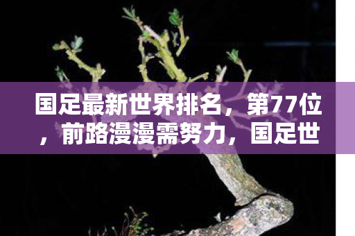 国足世界排名77位图片