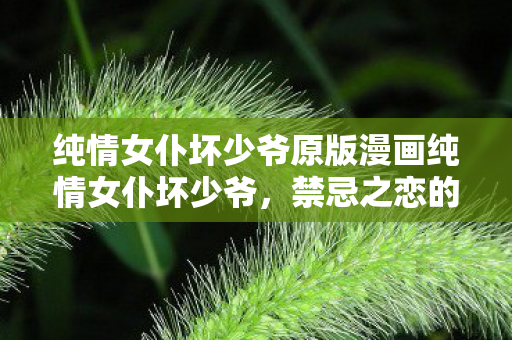 纯情女仆坏少爷原版漫画纯情女仆坏少爷图片