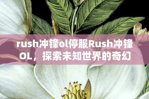 rush冲锋ol停服Rush冲锋OL图片