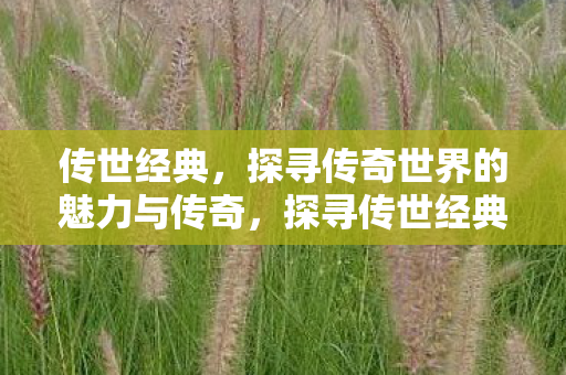 探寻传奇世界的魅力与传奇图片