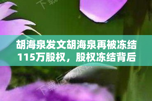 胡海泉发文胡海泉再被冻结115万股权图片