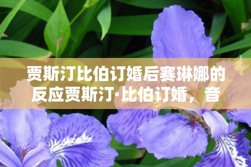贾斯汀比伯订婚后赛琳娜的反应贾斯汀图片