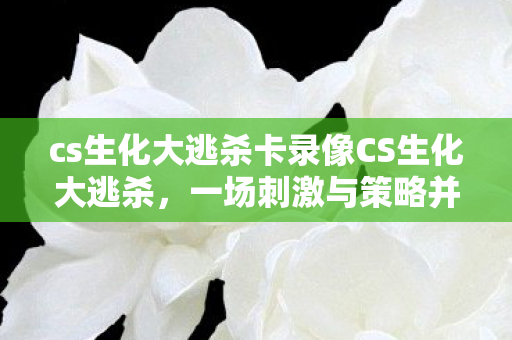 cs生化大逃杀卡录像CS生化大逃杀图片