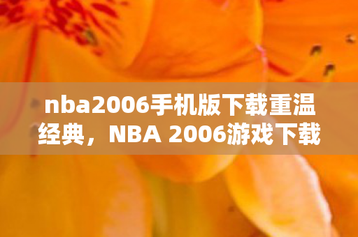 nba2006手机版下载重温经典图片