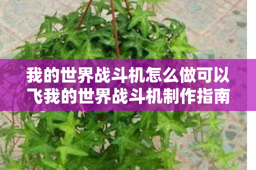 我的世界战斗机怎么做可以飞我的世界战斗机制作指南图片