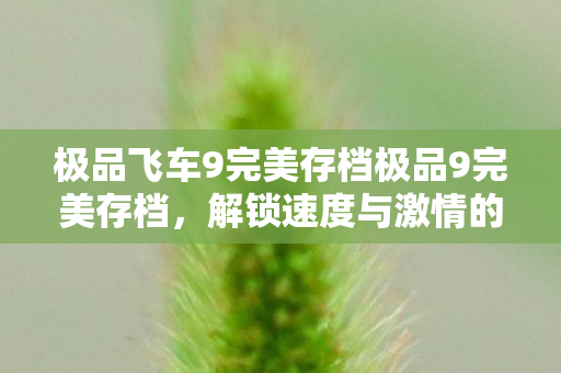 极品飞车9完美存档极品9完美存档图片