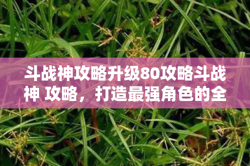 斗战神攻略升级80攻略斗战神 攻略图片