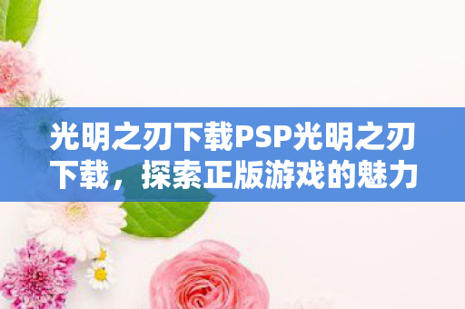 光明之刃下载PSP光明之刃下载图片