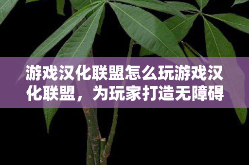 游戏汉化联盟怎么玩游戏汉化联盟图片