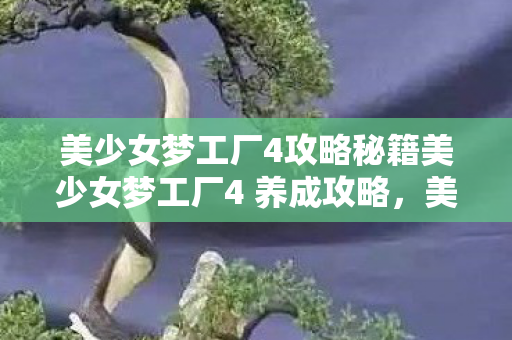 美少女梦工厂4攻略秘籍美少女梦工厂4 养成攻略图片