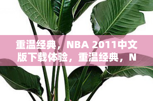 NBA 2011中文版下载体验图片