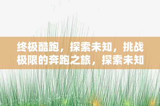 挑战极限的奔跑之旅图片