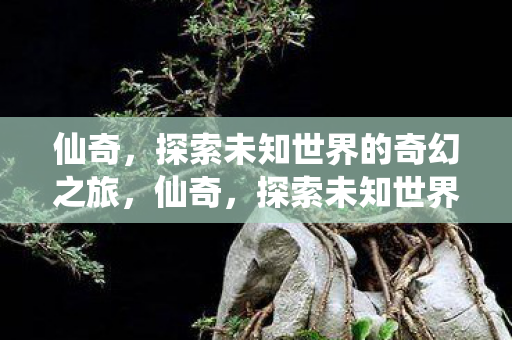 探索未知世界的奇幻之旅图片