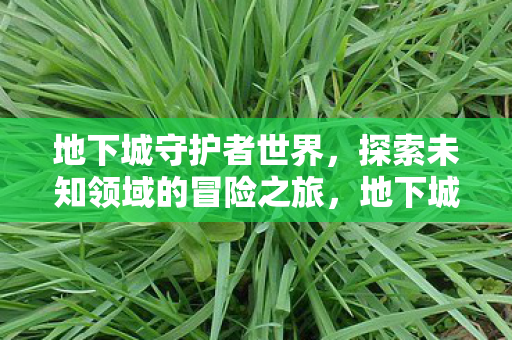 探索未知领域的冒险之旅图片