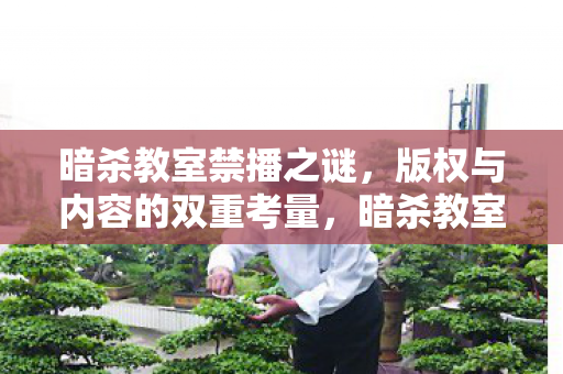 版权与内容的双重考量图片